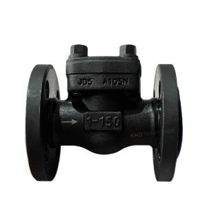 A105N Forged Steel Flanged Check Valve 150LB 1" NPS