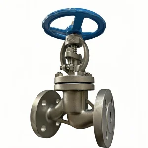 J41W-25P DN20 304