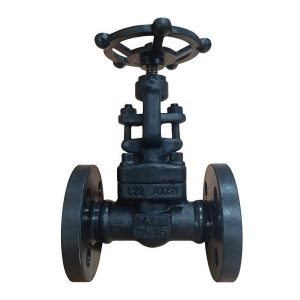 A105 Forged Steel Flanged Globe Valve J41H-16C DN15 PN16