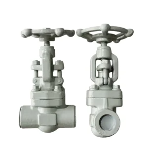 A105N Forged Steel Socket Weld Gate Valve 3/4" 600LB