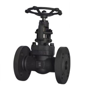A105 Forged Steel Flanged Globe Valve J41H-25C On request PN25
