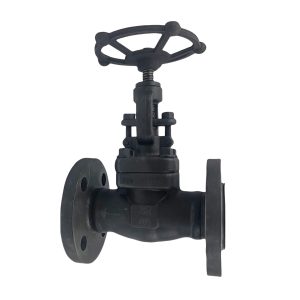 A105 Forged Steel Flanged Globe Valve J41H-40C DN32 PN40