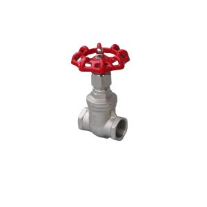Stainless Steel 304 Threaded Gate Valve Z15W-16P On request PN16