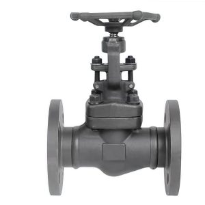 A105 Forged Steel Flanged Globe Valve WJ41H-16C DN40 PN16