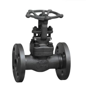 A105 Forged Steel Gate Valve Z41H-25C DN25 Class 300