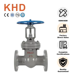 Carbon Steel WCB Flanged Gate Valve Z41H-25C DN80 PN25