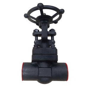A105 Forged Steel Gate Valve Z61H-800LB NPS 1 Class 800