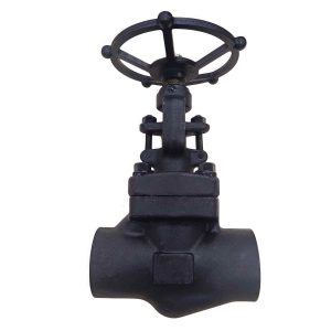A105 Forged Steel Gate Valve Z61H-800LB NPS 2 Class 800