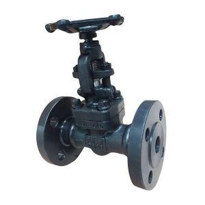 A105 Forged Steel Flanged Globe Valve J41H-16C DN20 PN16