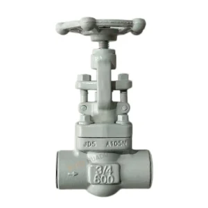 A105N Forged Steel Threaded Gate Valve 1" 800LB NPT