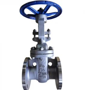 Stainless Steel Flanged Gate Valve Z41W-150LB NPS 2-1/2 Class 150