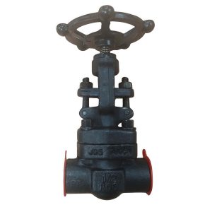 A105 Forged Steel Gate Valve Z61H-800LB DN15 PN64