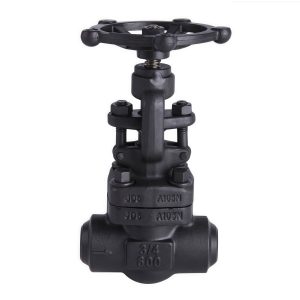 A105 Forged Steel Gate Valve Z61H-800LB DN20 Class 800