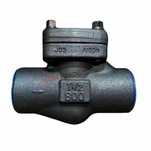 A105N Forged Steel Socket Weld Check Valve 800LB 1" NPS