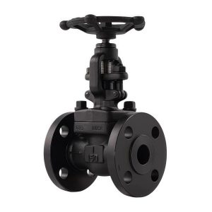A105 Forged Steel Flanged Globe Valve J41H-16C DN25 Class 150