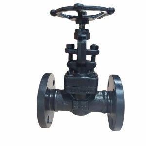 A105 Forged Steel Flanged Globe Valve J41H-16C DN25 PN16