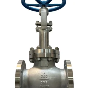 DJ41W-300LBP NPS 4 304