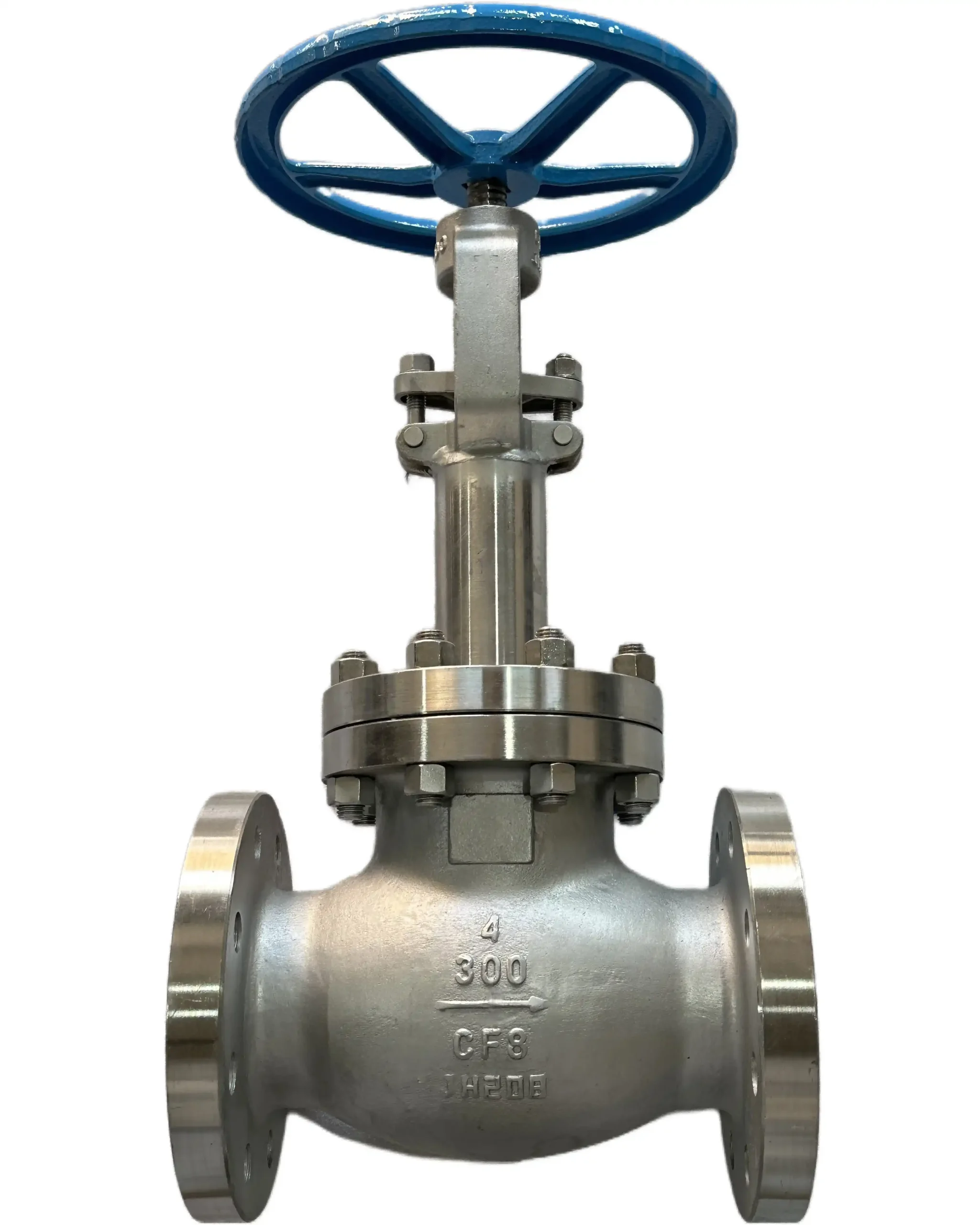 DJ41W-300LBP NPS 4 304