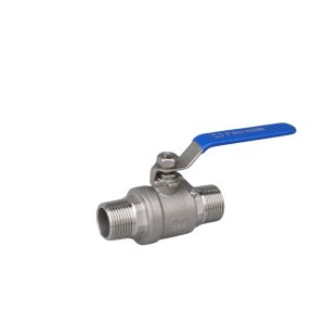 Stainless Steel 304 2-Piece Male Threaded Ball Valve BMS86 DN25 1000 WOG