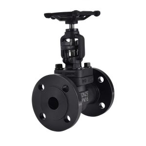 A105 Forged Steel Flanged Globe Valve J41H-16C DN25 PN16