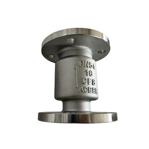 Stainless Steel 304 Vertical Lift Check Valve H42W-16P DN50 PN16