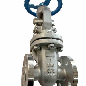 Stainless Steel Flanged Gate Valve Z41W-150LB NPS 1 Class 150
