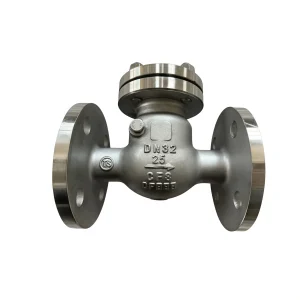304 Stainless Steel Swing Check Valve H44W-25P DN32 PN25