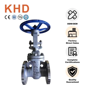 Stainless Steel CF8M Flanged Gate Valve Z41W-150LB NPS 2-1/2 Class 150 (Gray epoxy)