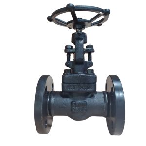 A105 Forged Steel Flanged Globe Valve J41H-16C DN32 PN16