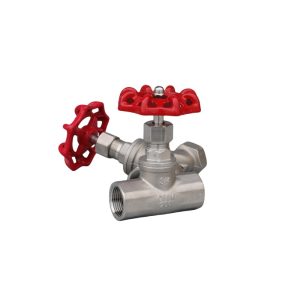Stainless Steel 304 Threaded Globe Valve J11H-16P On request PN16