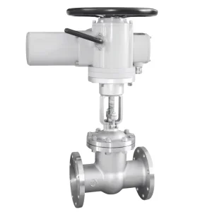 CF8 Stainless Steel Flanged Gate Valve Z41W-16P DN65 PN16