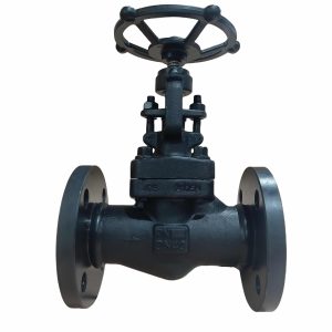 A105 Forged Steel Flanged Globe Valve J41H-16C DN40 PN16
