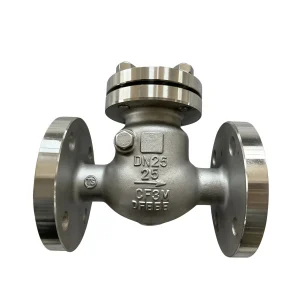 316L Stainless Steel Swing Check Valve H44W-25RL DN25 PN25