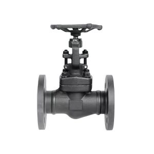 A105 Forged Steel Flanged Globe Valve J41H-16C DN40 PN16