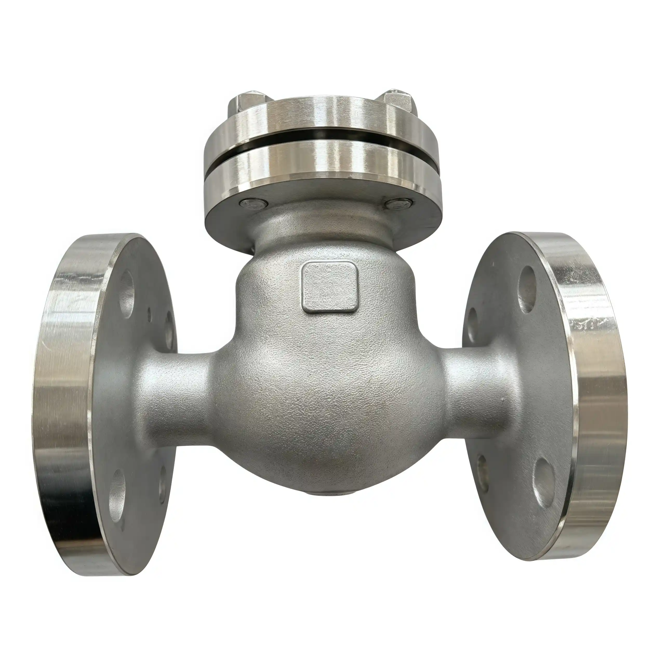316L Stainless Steel Swing Check Valve H44W-25RL DN50 PN25