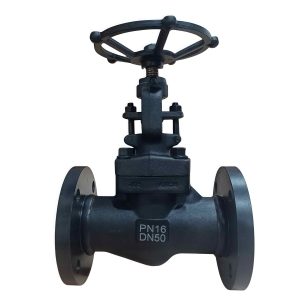 A105 Forged Steel Flanged Globe Valve J41H-16C DN50 PN16