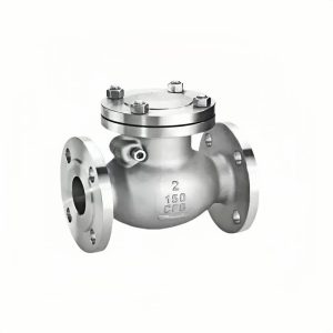 304 Stainless Steel Swing Check Valve 2" 150LB RF Flanged
